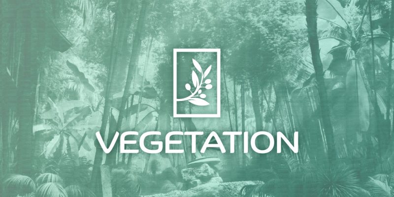 Vegetation Pro V5.1.1 花园植物树木预设库-太阳鸽鸽资源站