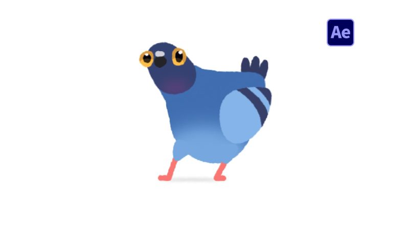 疯狂的鸽子循环动画-太阳鸽鸽资源站